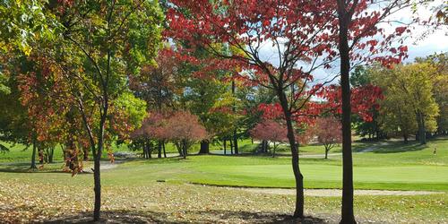 Raintree Country Club Golf Package